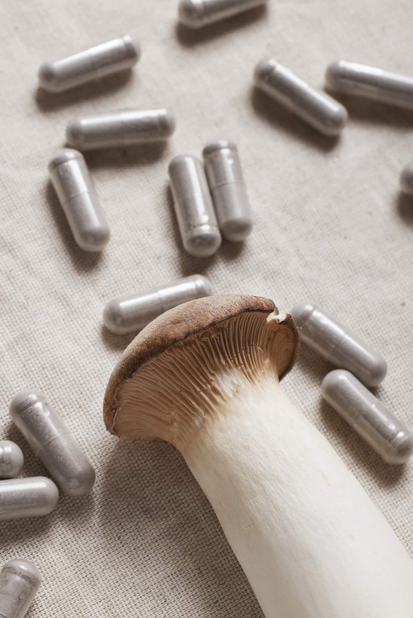 La mycologie appliquée : cultiver les champignons pour l'avenir