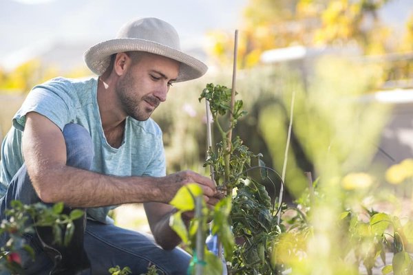 Quelles sont les tendances émergentes en matière de consommation durable ?